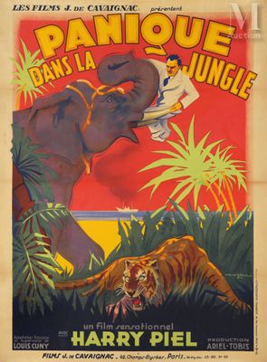 a poster for the movie paniquee dans la jungle