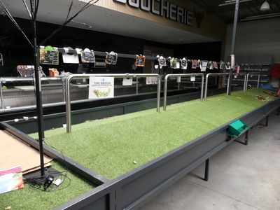 une longue table recouverte d'herbe dans un magasin