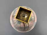 une photo d'un vase contenant une autre photo