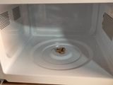 a white microwave with a brown dog in it