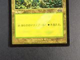 an image of a card with a picture of a forest