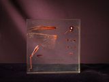 a picture of a dragonfly that is in a glass box
