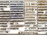 a lot of beetles that are on display on the wall