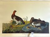 two birds that are sitting on a rock together