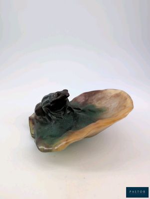 une petite grenouille assise sur une coquille de palourde