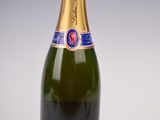 an image of a bottle of champagne on a white background