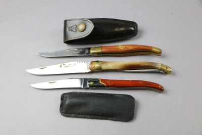 several knives are lined up on a white surface with a leather case