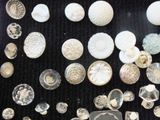 a lot of shells that are sitting on a table