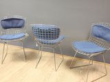 three chairs with blue cushions in front of a gray wall