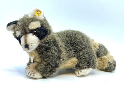 STEIFF. Raton laveur Raggy en peluche, Ref.