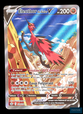 an image of a pokemon card with a picture of a bird on it