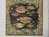 une photo d'une photo montrant des poissons dans l'eau