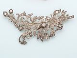 an image of a diamond broochle and a pearl broochle