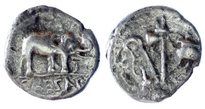 a close up of a coin with a horse on it
