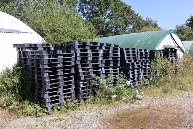 Environ 1200 palettes plastiques, état d’usage 