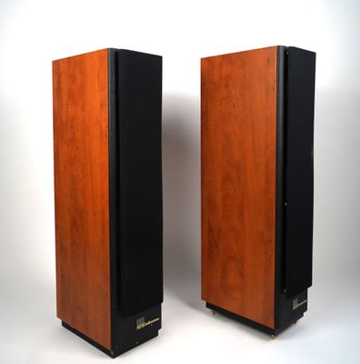 two speakers are shown side by side on a white background