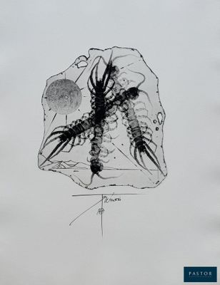 an image of a drawing of a bug on a piece of paper
