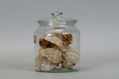 a glass jar filled with shells on a white surface