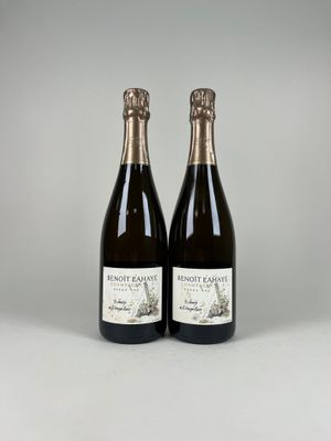deux bouteilles de vin posées l'une à côté de l'autre sur une table
