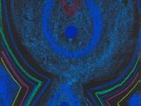 une peinture abstraite représentant un motif bleu et rouge sur fond noir