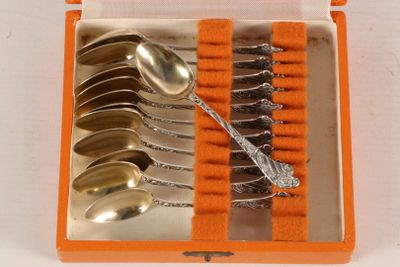 many spoons and spoon spoons in an orange case
