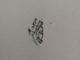 an image of a plate with a fish design on it