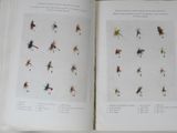 two open books with different types of flies on them