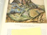 une image représentant un livre ouvert, avec une montagne en arrière-plan