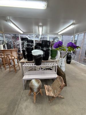 tables and chairs in a room with a lot of plants and vases