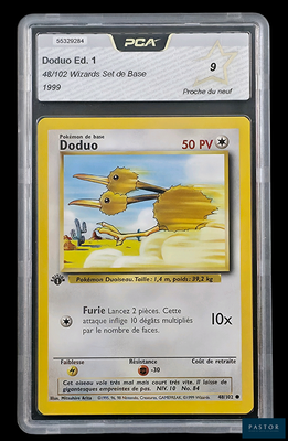 une image d'une carte Pokémon sur laquelle figure l'illustration d'un oiseau