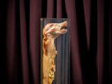 an image of a piece of meat in a glass case