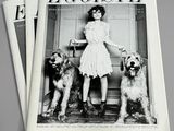 three magazines of a woman and three dogs on a table