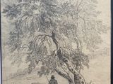 drawing of a man sitting under a tree in a field