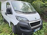 une camionnette blanche garée dans l'herbe, près de quelques arbres