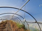 vue d'un tunnel dans lequel poussent des plantes