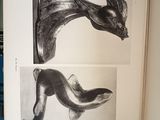two pages of a book with drawings on them