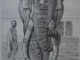 pencil drawing of an elephant standing in the water with a man in the background