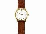 an image of a watch with a brown strap on a white background