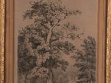 an image of a painting of a tree in a wooded area