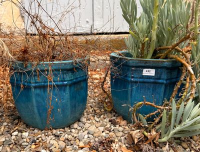 deux pots bleus posés par terre, contenant des plantes