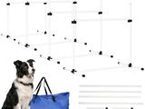 un chien noir et blanc assis devant une rangée de poteaux