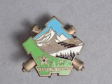 a lapel pin with a picture of a train on it