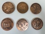 six different types of bronze coins are displayed on a white surface