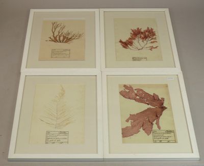 Quatre planches d’alguier anciennes du Finistère - Art populaire