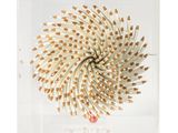 une photo d'une sculpture composée de crayons, placée dans une boîte transparente