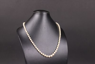 un collier de perles blanches sur un mannequin, sur fond noir