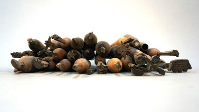 un tas de carottes pourries posées par terre