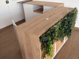 un bureau sur lequel pousse une plante, dans une pièce