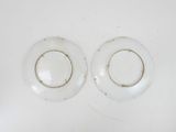 pair of clear glass plates with silver rims on a white surface