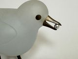 a white bird with a silver beak on a white surface